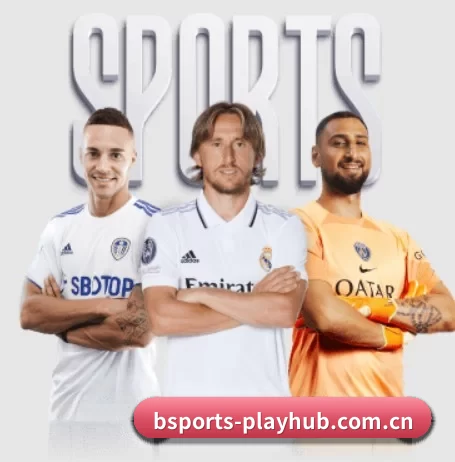 bsports-playhub.com.cn的故事 - 体育资讯内容服务