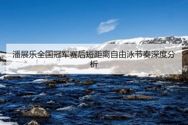 潘展乐全国冠军赛后短距离自由泳节奏深度分析